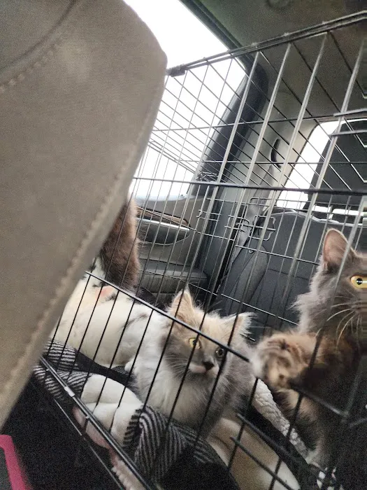 Capital Area Humane Society Spay & Neuter Clinic Picture 3