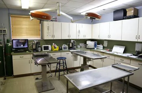Pennsylvania Veterinary Care Picture 5