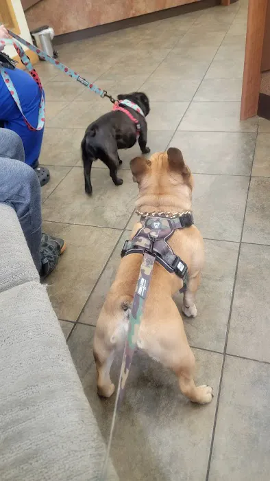 Schultz Veterinary Clinic Picture 1
