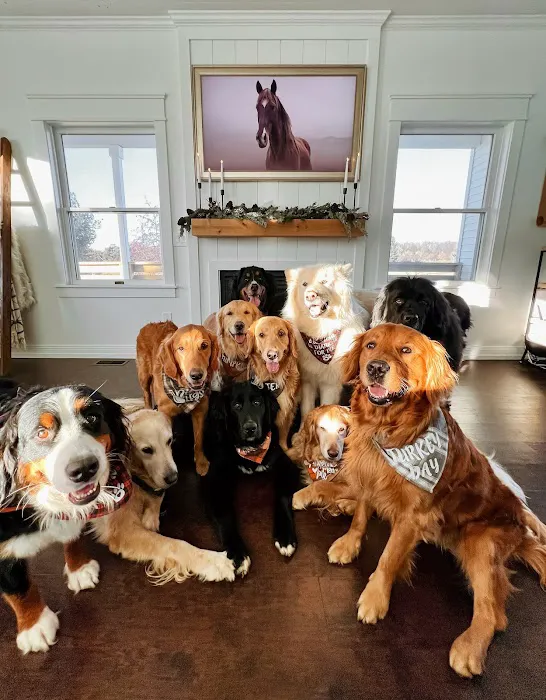 Schultz Veterinary Clinic Picture 6