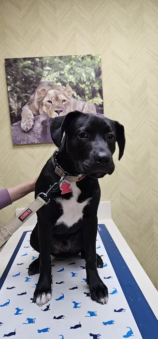 Schultz Veterinary Clinic Picture 10