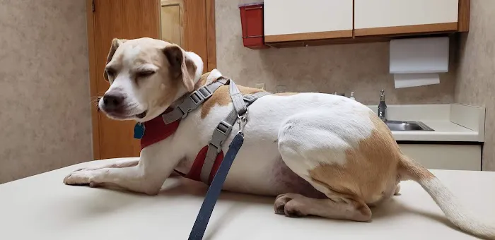 Schultz Veterinary Clinic Picture 9