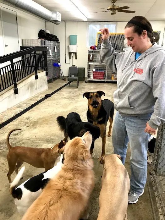 Waverly Animal Hospital Boarding Grooming & Wellness Center Picture 7