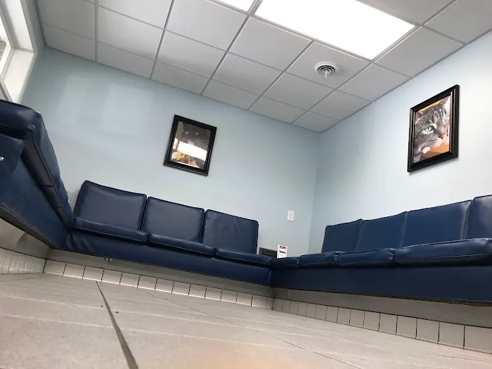 Waverly Animal Hospital Boarding Grooming & Wellness Center Picture 10