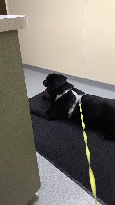 Red Cedar Animal Hospital, PC Picture 1