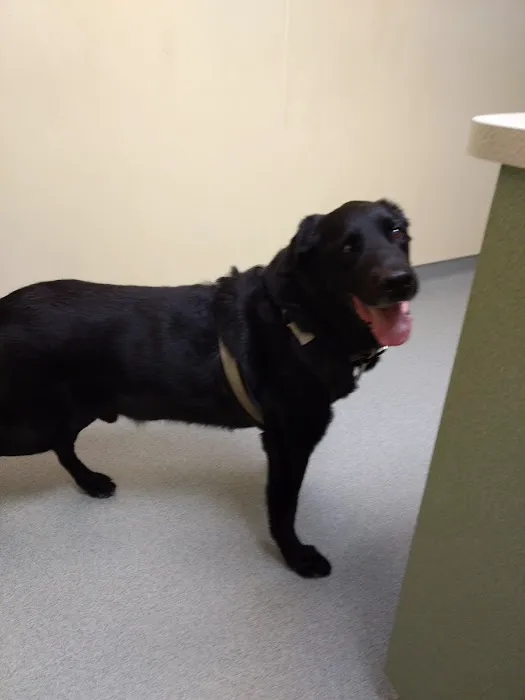 Red Cedar Animal Hospital, PC Picture 5