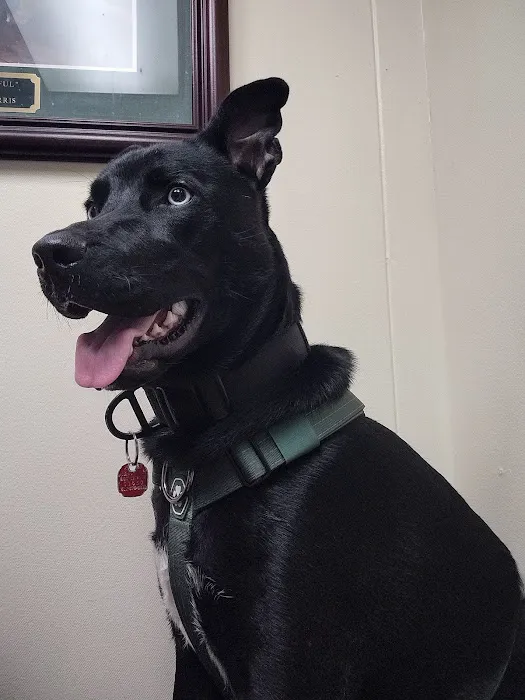 Red Cedar Animal Hospital, PC Picture 10