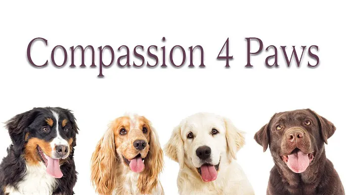 Compassion 4 Paws Veterinary Healing Center Picture 8