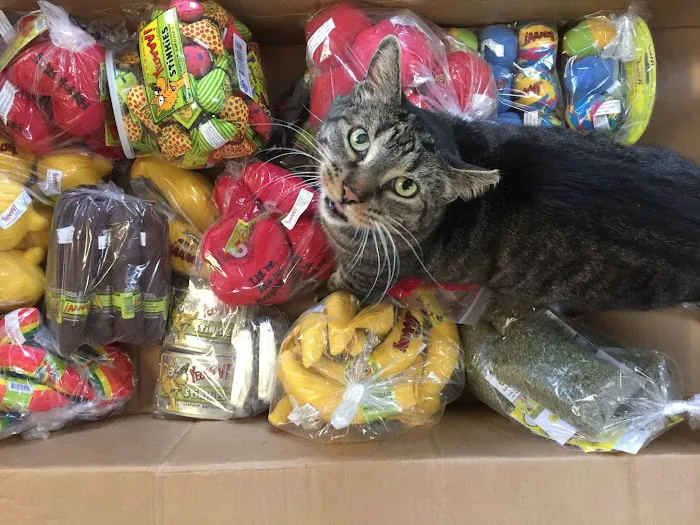 Red Barn Cat Clinic, LLC Picture 5