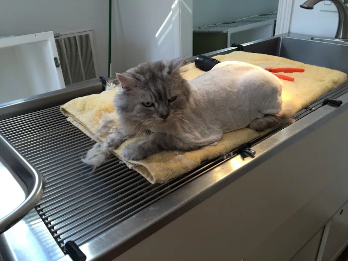 Red Barn Cat Clinic, LLC Picture 9