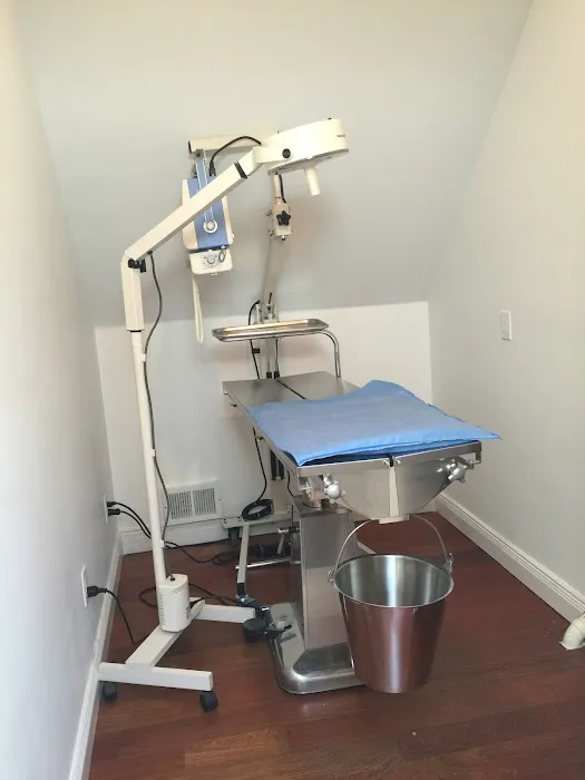 Red Barn Cat Clinic, LLC Picture 7