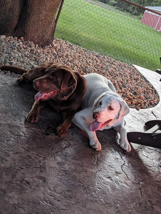 Gull Lake Animal Hospital Picture 6