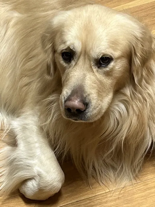 Gull Lake Animal Hospital Picture 8