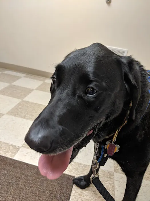 Gull Lake Animal Hospital Picture 9