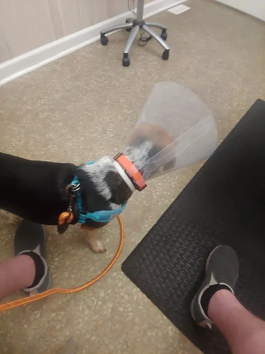 VCA Richland Animal Hospital Picture 6