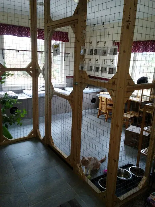 Cat Nap Lodge Community Center Picture 1