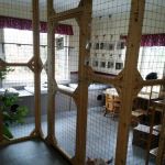 Cat Nap Lodge Community Center