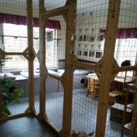 Cat Nap Lodge Community Center ico