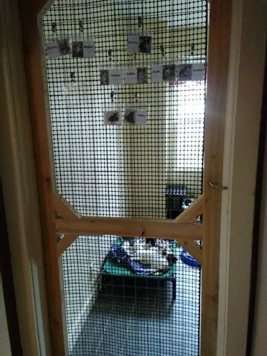 Cat Nap Lodge Community Center Picture 3
