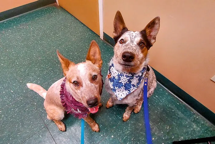 Meyer Veterinary Hospital Picture 1