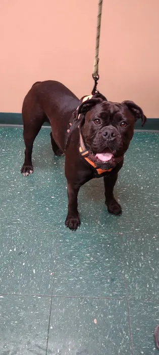 Meyer Veterinary Hospital Picture 3