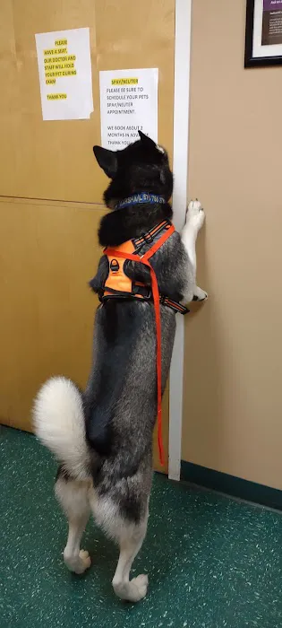 Meyer Veterinary Hospital Picture 9