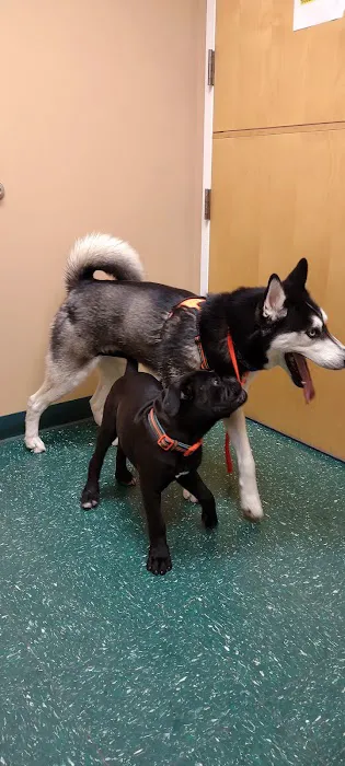 Meyer Veterinary Hospital Picture 4