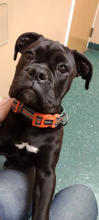 Meyer Veterinary Hospital Picture 7