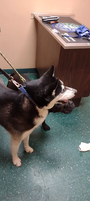 Meyer Veterinary Hospital Picture 5
