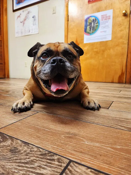 Knox Veterinary Clinic Picture 3