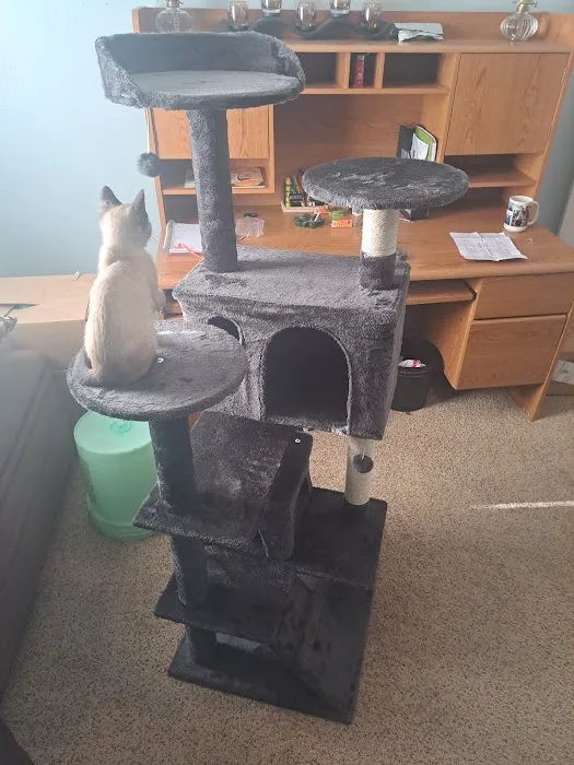 Knox Veterinary Clinic Picture 1