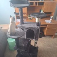 Knox Veterinary Clinic ico
