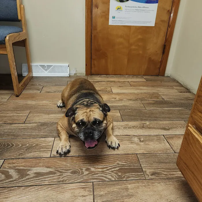 Knox Veterinary Clinic Picture 10