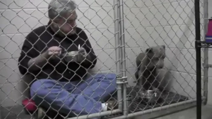 Granite Hills Animal Care Picture 5