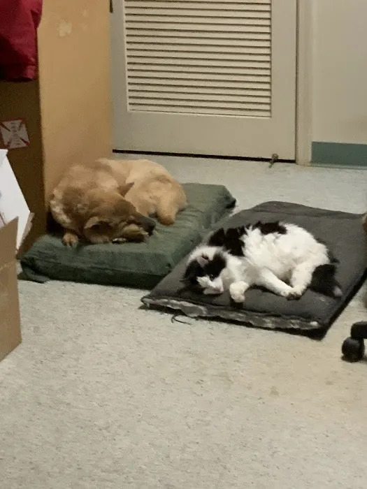 Granite Hills Animal Care Picture 9