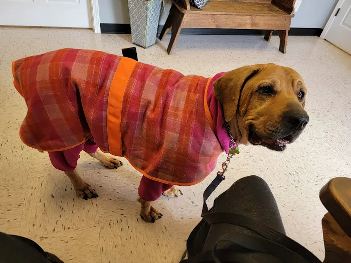All Creatures Veterinary Services Picture 2