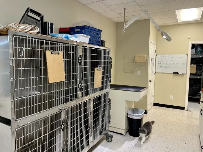 All Creatures Veterinary Services Picture 6