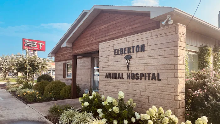 All Creatures Veterinary Services Picture 10