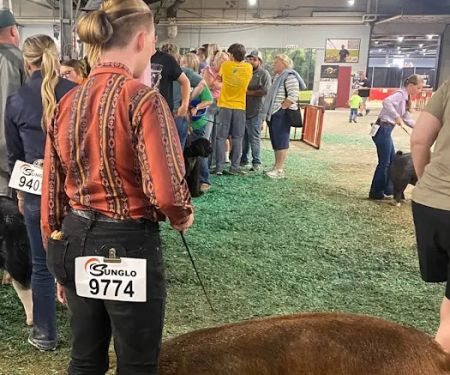 Custom Livestock Solutions