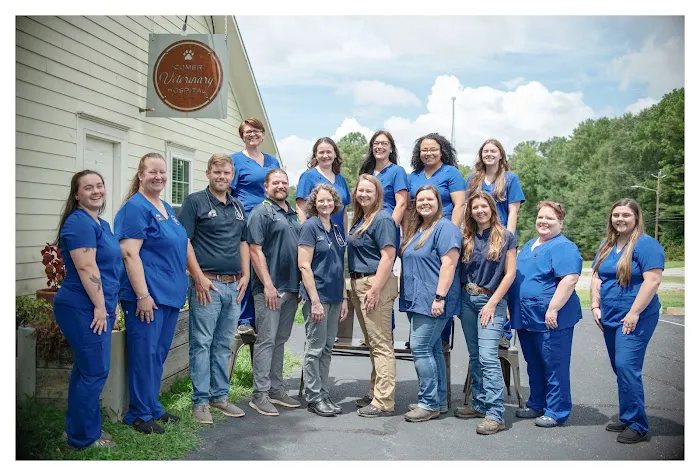 Comer Veterinary Hospital Picture 1