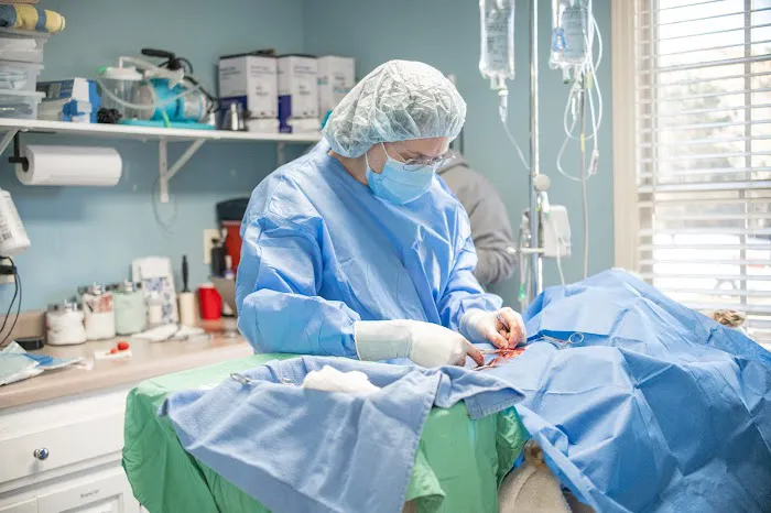 Comer Veterinary Hospital Picture 6