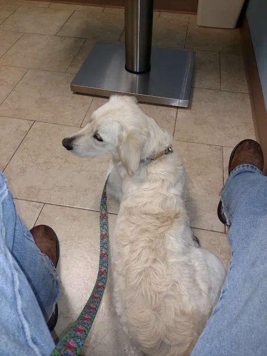 Comer Veterinary Hospital Picture 4