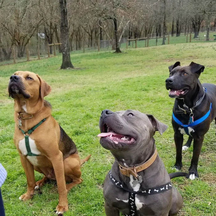 Madison Animal Hospital Picture 6