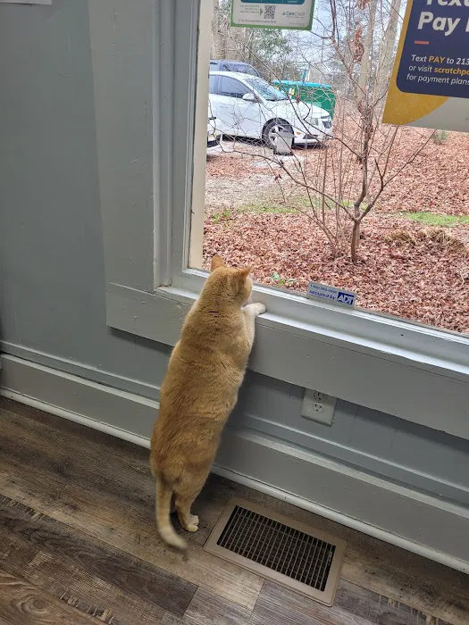 Madison Animal Hospital Picture 7