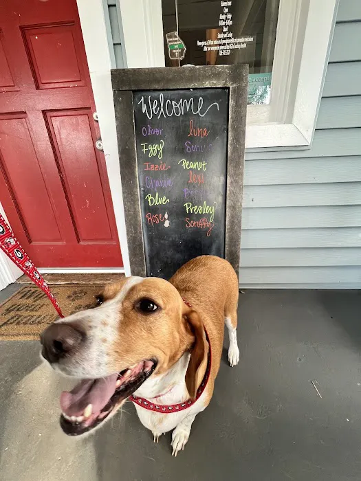 Madison Animal Hospital Picture 9