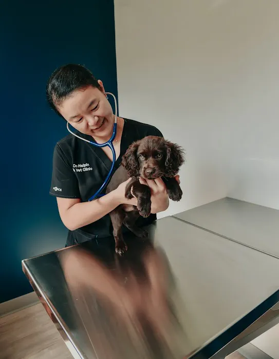 Ila Veterinary Clinic Picture 2