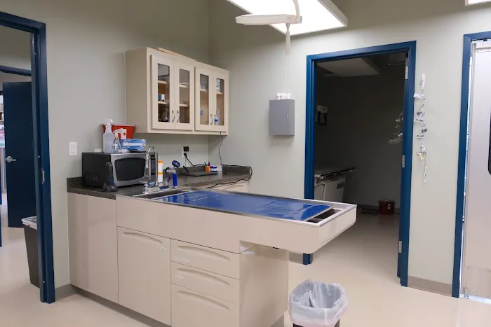 Ila Veterinary Clinic Picture 1