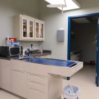 Ila Veterinary Clinic ico