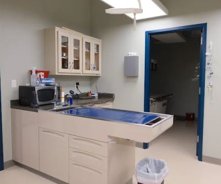 Ila Veterinary Clinic