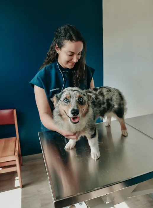 Ila Veterinary Clinic Picture 9